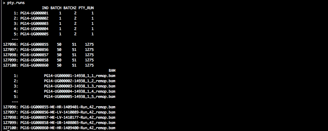 List of phyloscanner runs, stage 1 of analysis of large population-based sample.