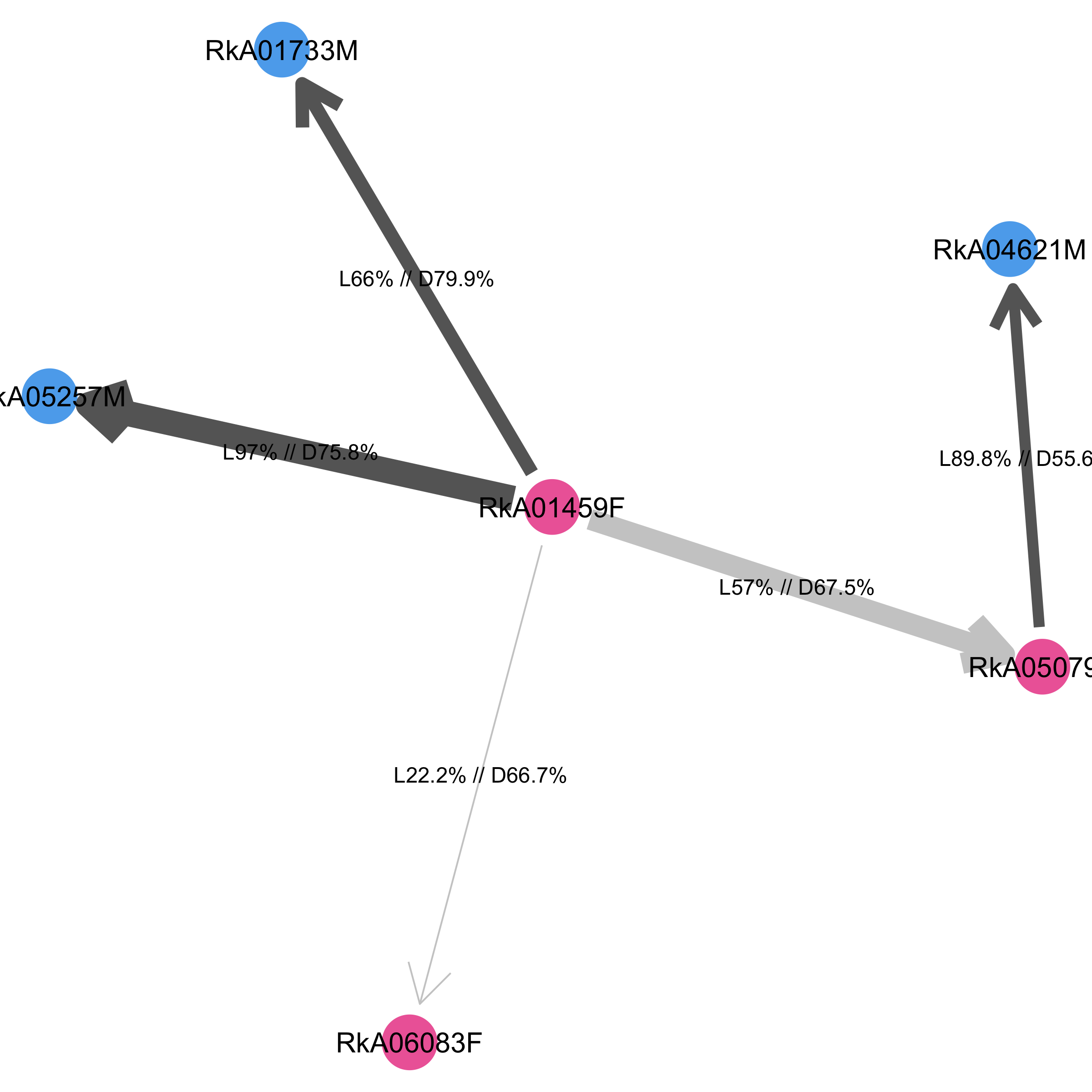 Most likely transmission chain for network number 34